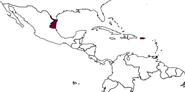 map of Coccidoctonus trinidadensis     Crawford, 1912